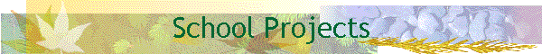 School Projects