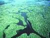 Aerial view of massive wetlands system