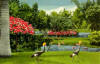 Gardens and ponds in Sarasota Florida supporting wildlife
