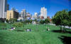 Park beyond the business district