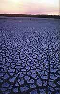 Dried out, cracked earth in Everglades National Park