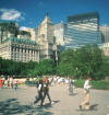 Nature among skyscrapers