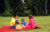 Picnic in park