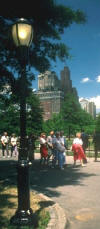 Strolling in the park