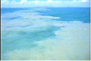 Large plume of mud dispersing through ocean from trawling