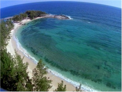 Warm shallow tropical seas - perfect habitat for coral reefs