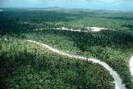 River's natural flow through the forests