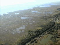 Natural wetlands, coastal and inland