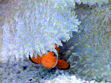 I need to find something orange to hide in