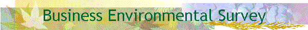 Business Environmental Survey